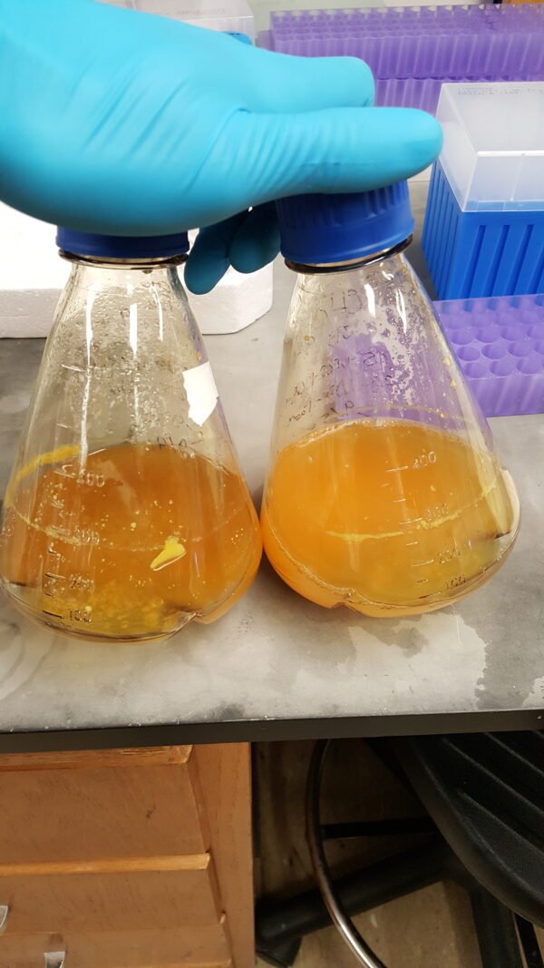 Intraclone Aggre-Solve - Image 2