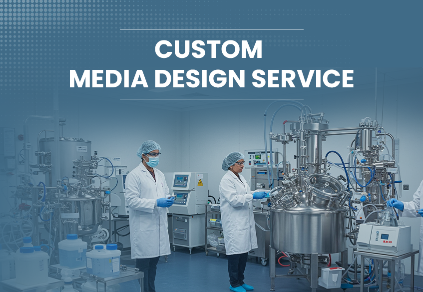 Intrcolen Mobile (2)